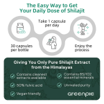 Shilajit Capsules Factory - OEM Fulvic Acid Energy Support Capsules