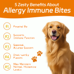 Dog Allergy Supplement Manufacturer - OEM Probiotics Itching Skin Relief