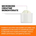 Vegan Creatine Powder Factory - OEM Sugar Free Vanilla Strawberry Flavor