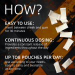 Caffeine Substitute Pouches Manufacturer - OEM Nicotine Free Nootropic Energy