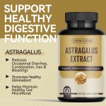 Astragalus Capsules Factory - OEM Root Extract Immune System Support