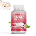 Female Fertility Tablets Manufacturer - OEM Natural Herbs Reproductive Health