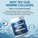 Marine Collagen Powder Manufacturer - OEM Hydrolyzed with Hyaluronic Acid Vitamin C