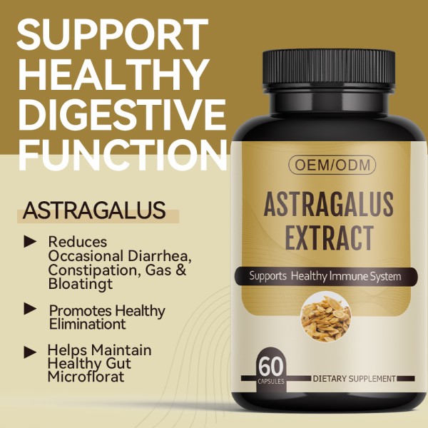 Astragalus Capsules Manufacturer - OEM Herb Dried Root Extract Supplement