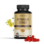 Astragalus Capsules Manufacturer - OEM Herb Dried Root Extract Supplement