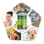 Garlic Oil Softgels Manufacturer - OEM Cardiovascular Immune Support Softgel