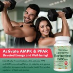 Berberine Capsules Manufacturer - OEM GLP-1 Metabolic Blood Sugar