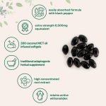 Ashwagandha Capsules Supplier - OEM Vegetarian Herbal Supplement