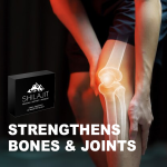 Shilajit Tablets Factory - OEM Himalayan Fulvic Acid Joint Bone