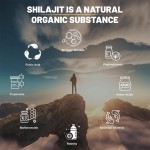 Shilajit Capsules Factory - OEM Himalayan Energy Balance Support