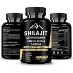Shilajit Capsules Factory - OEM Himalayan Energy Balance Support