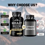 Shilajit Capsules Factory - OEM Himalayan Energy Balance Support
