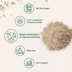 Mushroom Supplement Powder Supplier - OEM Reishi Lions Mane Cordyceps