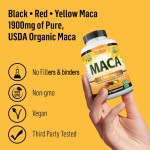 Maca Root Capsules Manufacturer - OEM Gelatinized Reproductive Health