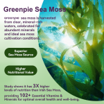 Sea Moss Gummies Supplier - OEM High Nutritional Energy Support