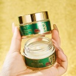 Eye Cream Supplier - OEM Cordyceps Ganoderma Firming Wrinkle
