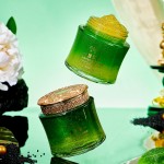 Cleansing Crystal Manufacturer - OEM Camellia Soothing Gentle Makeup