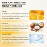 Face Foam Manufacturer - Deep Cleansing Plant Extract Aloe