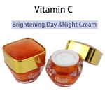 Face Cream Factory - 2-in-1 Brightening Moisturizing Private