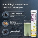 Shilajit Effervescent Tablets Manufacturer - OEM Himalaya Ashwagandha