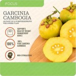 Garcinia Cambogia Capsules Supplier - OEM 100% Natural HCA Extract