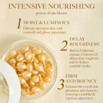 Essence Capsules Manufacturer - OEM Facial Care Moisturizing Support