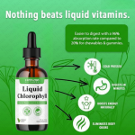 Glutathione Liquid Supplement Manufacturer - OEM 2000mg High Absorption