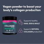 Hydrolyzed Collagen Powder Manufacturer - OEM Grass Fed Type I III