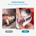 Pet Antibiotic Drops Supplier - OEM Cat Antibacterial Anti-inflammatory