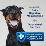 Pet Vitamin E Supplement Manufacturer - OEM Dog Immunity Enhancement