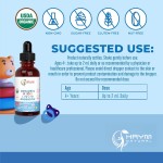 Mullein Leaf Drops Factory - OEM Herbal Lung Cleansing Chlorophyll