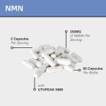NMN Powder Capsules Factory - OEM 99% Pure Anti-Aging Supplement