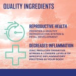 Zinc Supplements Tablets Factory - OEM Sulfate Immune System Support