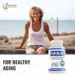 NMN Powder Capsules Factory - OEM 99% Pure Anti-Aging Supplement