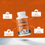 Dog Joint Supplements Factory - OEM Chewable Tablets Multi Vitamin