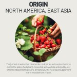 Electrolyte Powder Factory - OEM Beverage Mix 5 Essential Vitamins