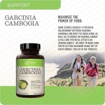 Garcinia Cambogia Capsules Supplier - OEM 100% Natural HCA Extract