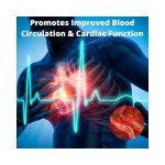 PQQ Capsules Factory - OEM 20mg Ultra Pure Brain Health Support