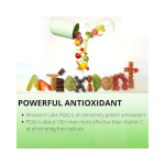 PQQ Capsules Factory - OEM 20mg Ultra Pure Brain Health Support