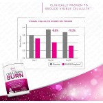 Prebiotic Fiber Powder Manufacturer - OEM Fructooligosaccharides FOS