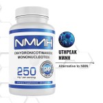 NMN Powder Capsules Factory - OEM 99% Pure Anti-Aging Supplement