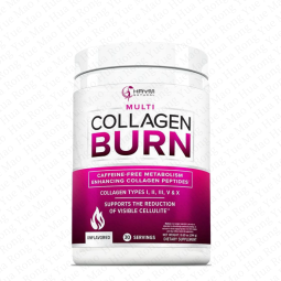 Prebiotic Fiber Powder Manufacturer - OEM Fructooligosaccharides FOS