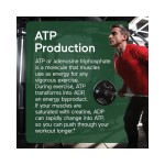 Creatine Capsules Manufacturer - OEM 2500mg Monohydrate 5g Pure