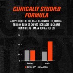 Weight Loss Capsules Factory - OEM Green Tea Extract Supplement