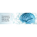 PQQ Capsules Supplier - OEM Brain Health Memory Enhancement
