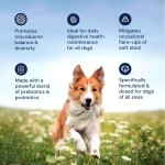 Pet Vitamin E Supplement Manufacturer - OEM Dog Immunity Enhancement