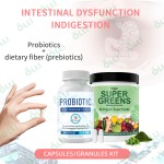 Probiotic Gummies Supplier - Super Greens Powder Digestive