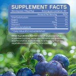 Pre Workout Jelly Factory - Creatine Monohydrate Muscle Strength