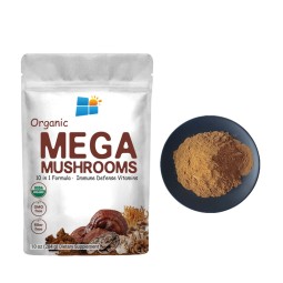 Mushroom Extract Powder Supplier - 12 in 1 Blend Lions Mane