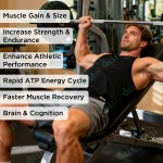 Creatine Lollipop Factory - Energy Boosting Sport Supplement